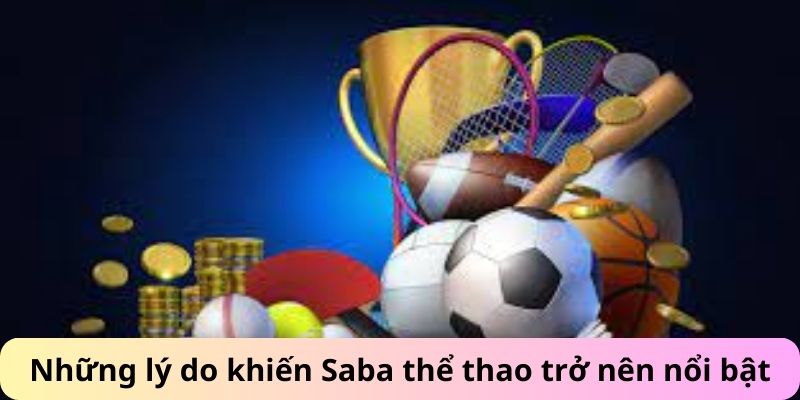 Các lý do Saba thể thao trở nên nổi trội